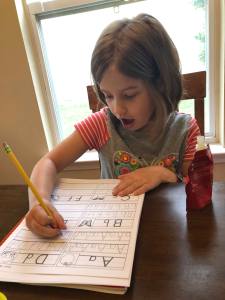 69040770_534847863927551_5292994438618939392_n